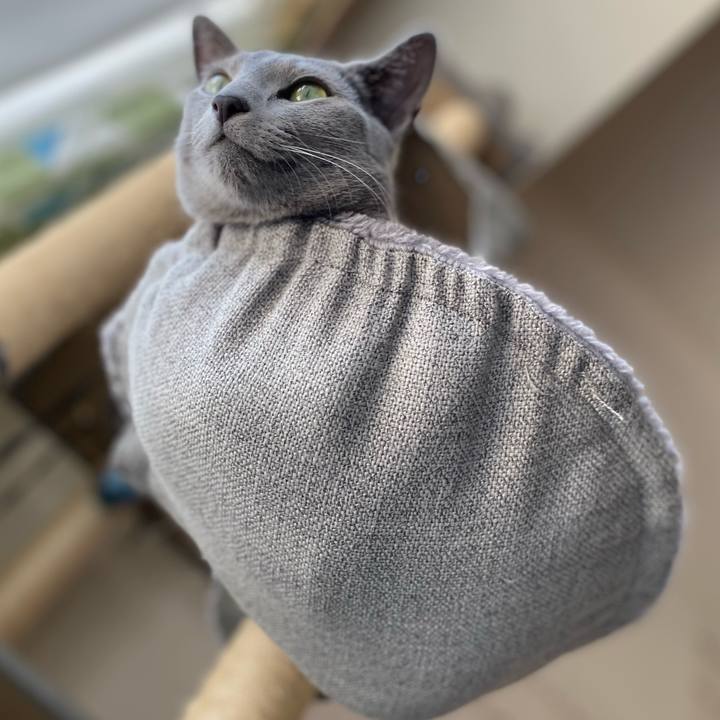 5a82083c a259 4710 9865 b117b973bbd1 1621911900192