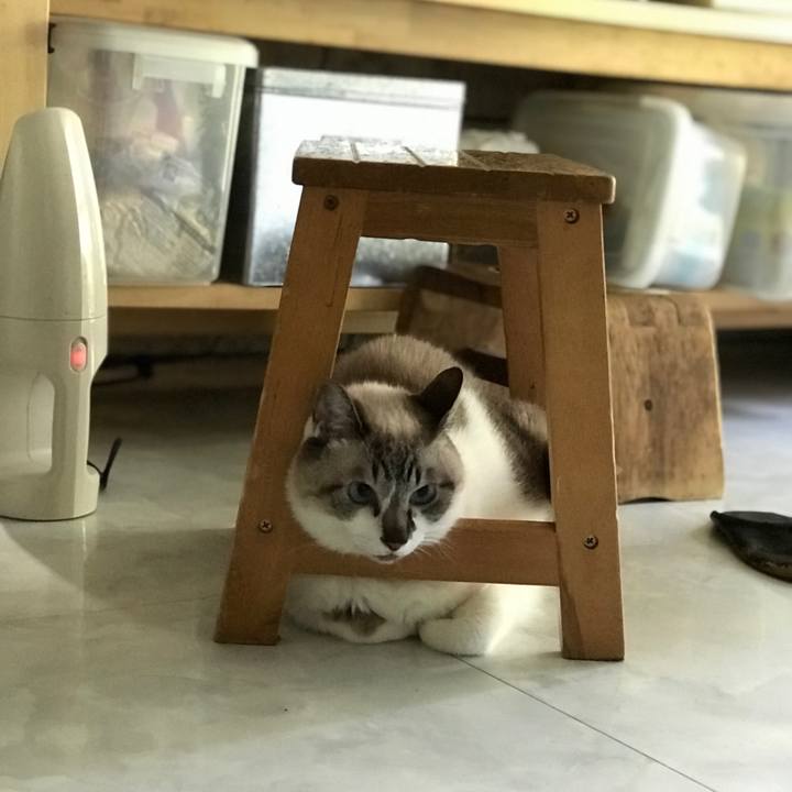 5a823d39 e419 4e10 876d e5566212b590 1528508202740