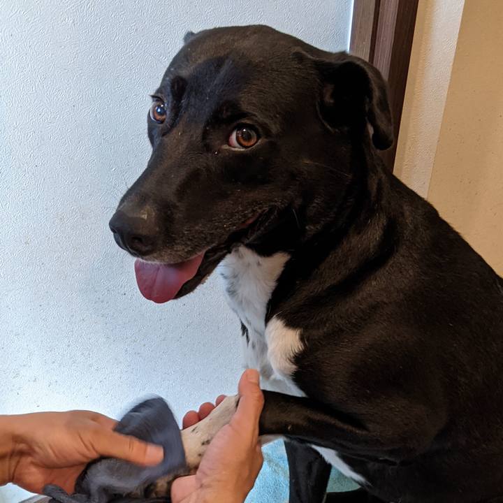 5a8286a9 fc3a 4923 9915 e3695bc09634 1629850415507