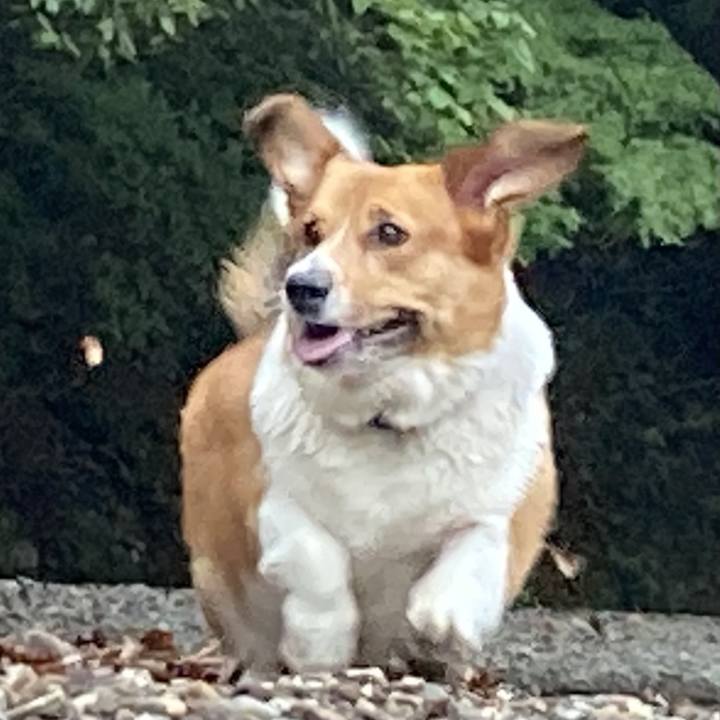 5a828765 d4d9 440d a1d7 bb154eef8680 1696208161497