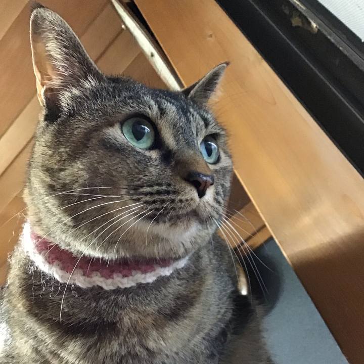 5a829493 25cc 47fb 80a2 9e35227281ca 1716804244961