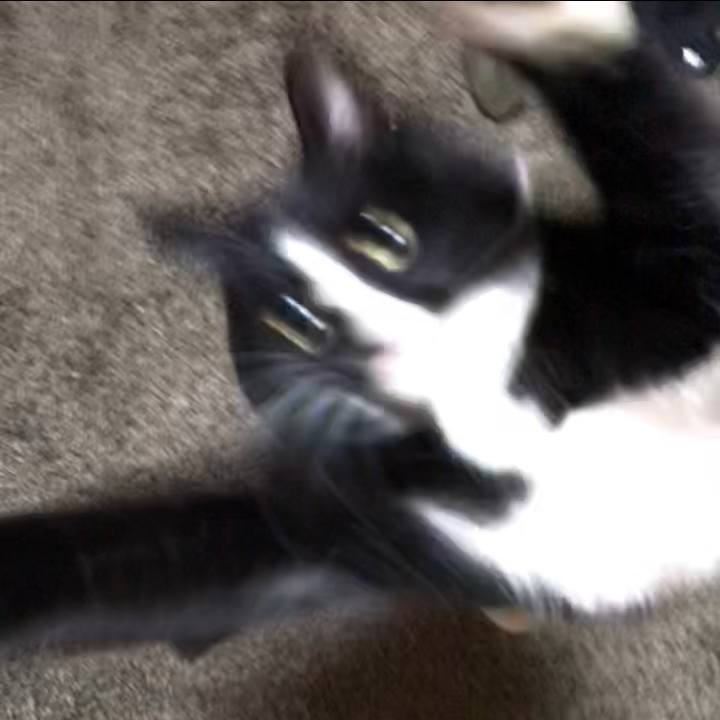 5a82af6f 6271 4739 adee df8aba2ac9b9 1520951149711