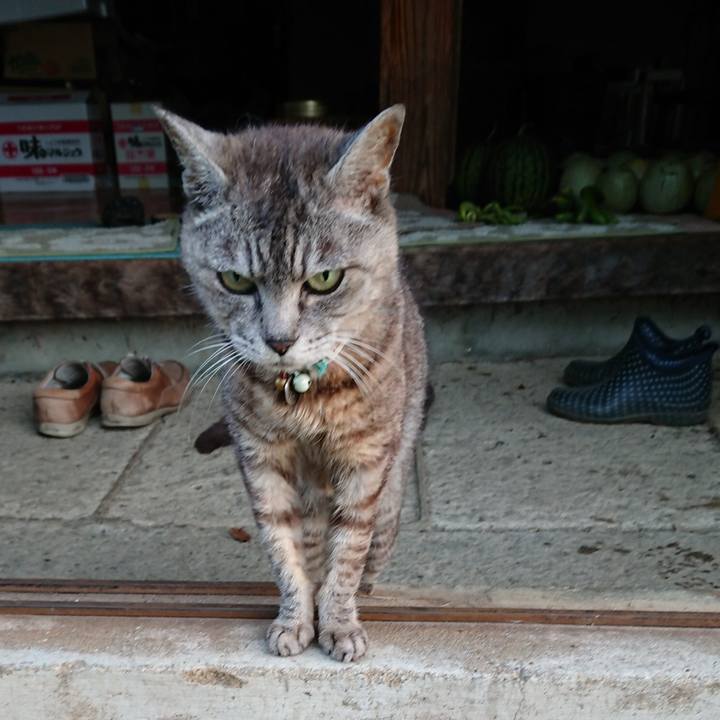 5a82bf71 7536 46ab b7d1 e875c670e961 1566334479823