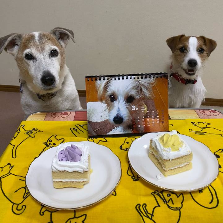 5a82c395 5c66 4fb3 8cdc 48a6dd770787 1646130468466