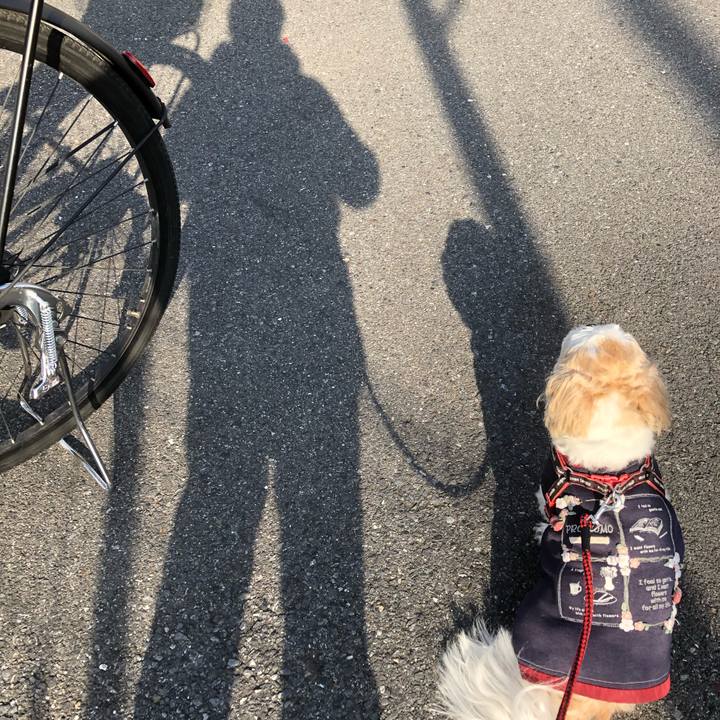 5a82c54a c303 45a4 9ed3 239466eb7955 1613685089060