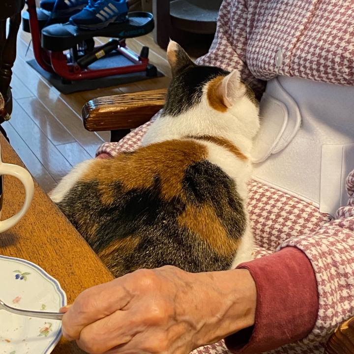 5a82dc5a 2fad 472a b32d f8ec2dedf16e 1760482941555