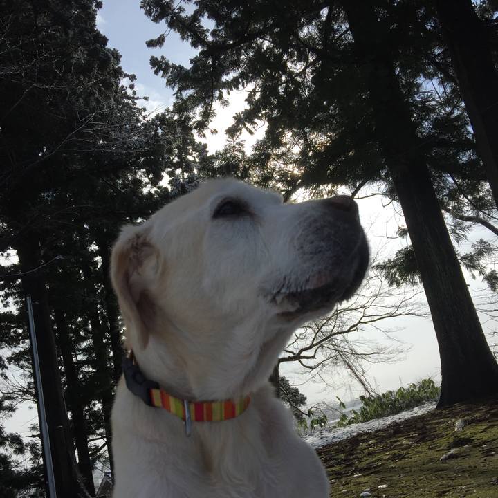 5a82e0ea a364 48eb a6f0 42348c5f870f 1513772024085