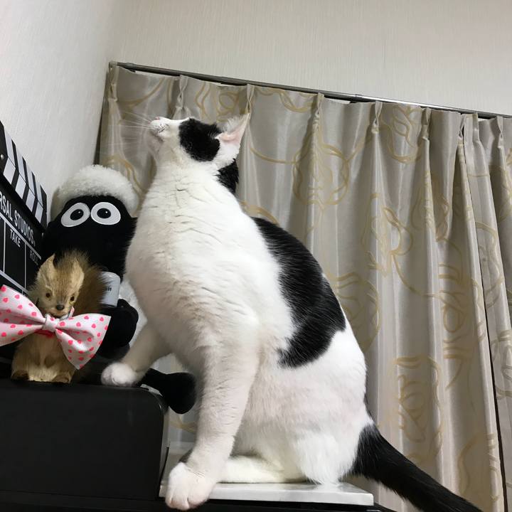 5a83702f ff84 4d32 9f49 160de4e323d7 1518786554412