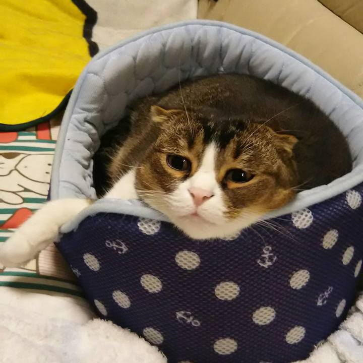 5a837c8d 0fd3 4494 b809 6e05f7051058 1519380986027