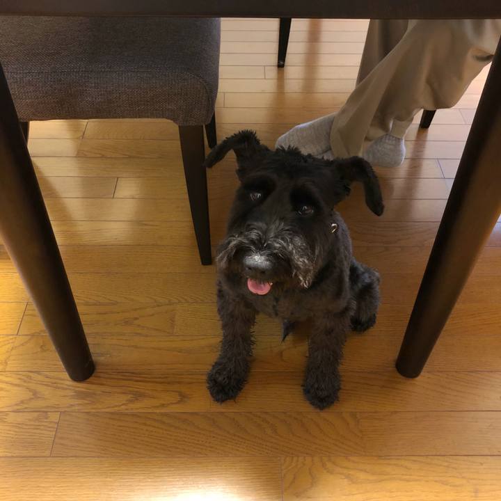 5a838b1d 7951 4e76 8b69 e86333088919 1536014692664