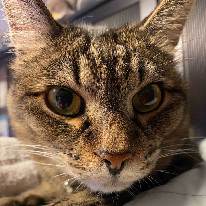 5a83fc82 83f1 4672 82ae 7bd2a160dc2b 1597840930997