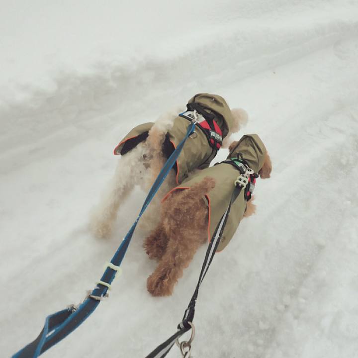 5a8423e4 ac69 42c6 8093 3fd7541e1384 1517216403393