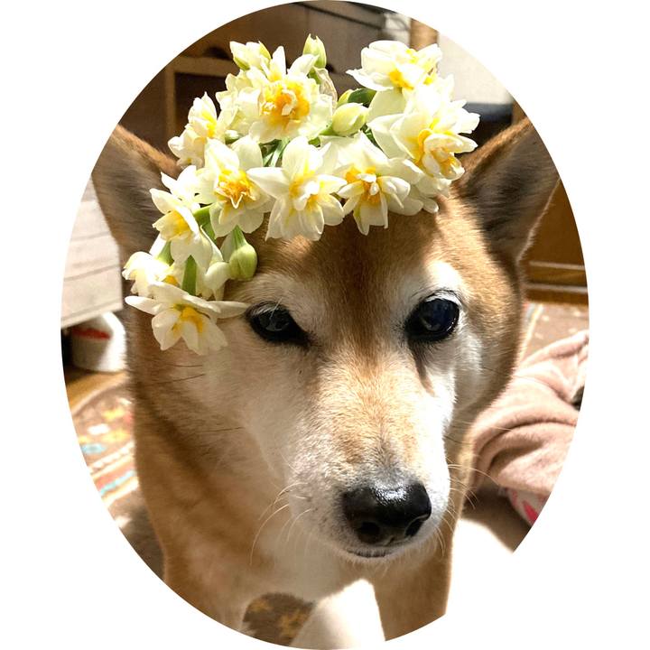 5a844985 f879 4e92 95ae cdbd0d292102 1642061104284