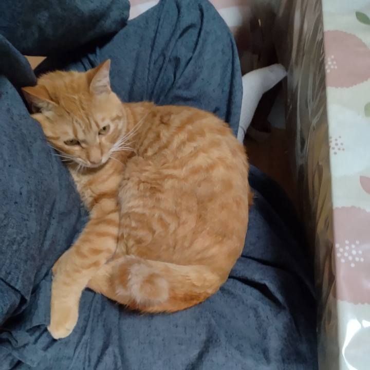 5a84803d 3547 4aa1 908d 21e610f99f3f 1664760363801