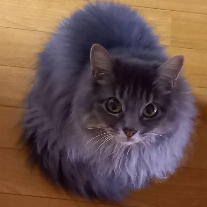 5a8481b0 5e82 4e98 8d73 94373cb6c8c9 1624394657725