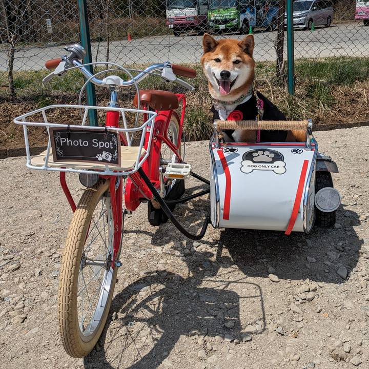 5a84a97d 6fc7 4105 acf8 224fec032078 1713191175611