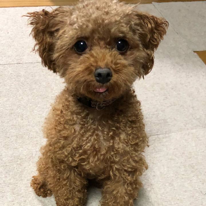 5a84b007 9c1e 4f35 b846 8bb9527589e1 1537437795169