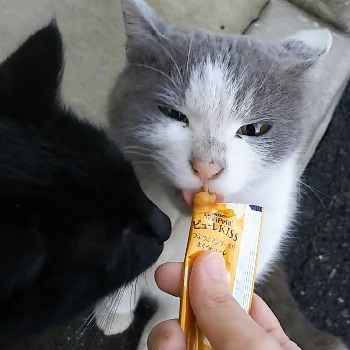 5a84ba60 504b 4a8f a493 e02a71c9cb5c 1551959155146