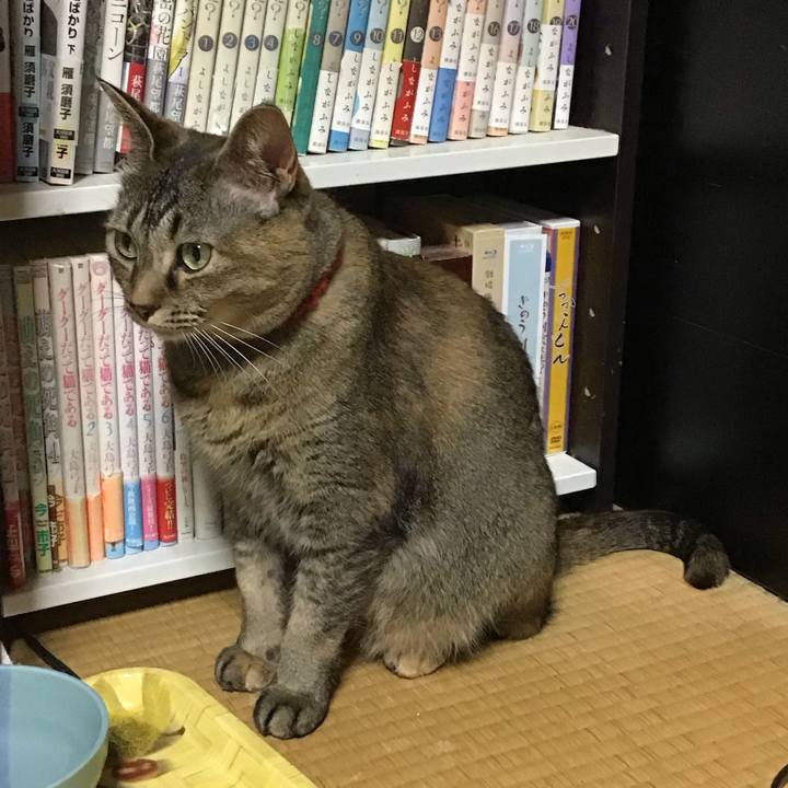 5a84ea9a 1d06 4ed3 93f4 0bcae5a36e2c 1684672531408