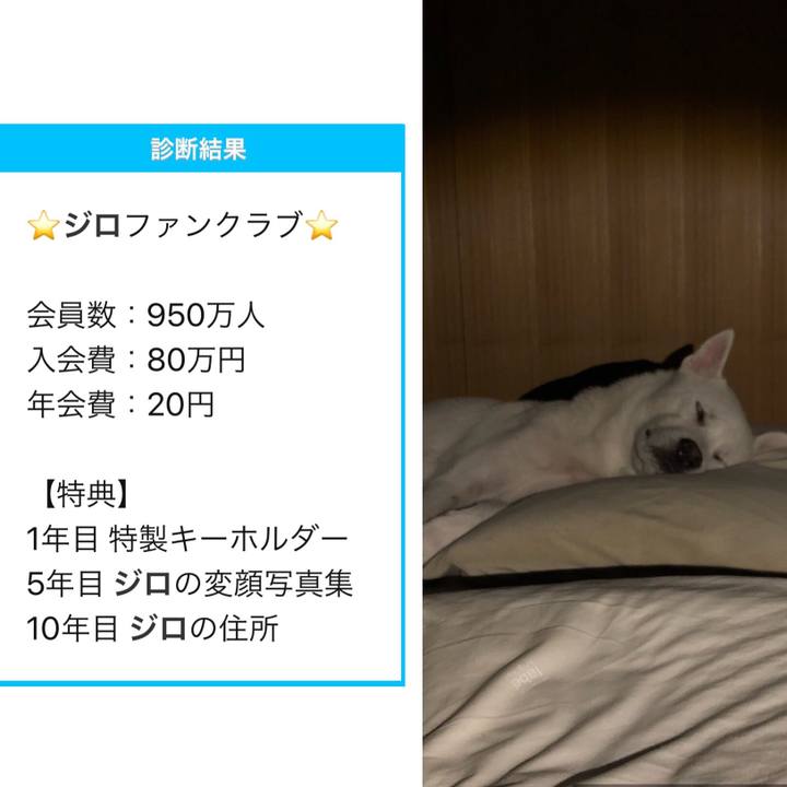 5a850d84 f0b7 4b5e 9f0c 49010b58130b 1568433019856