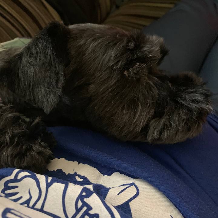 5a850f37 d7eb 436a 99d8 4866470262f5 1623740810622