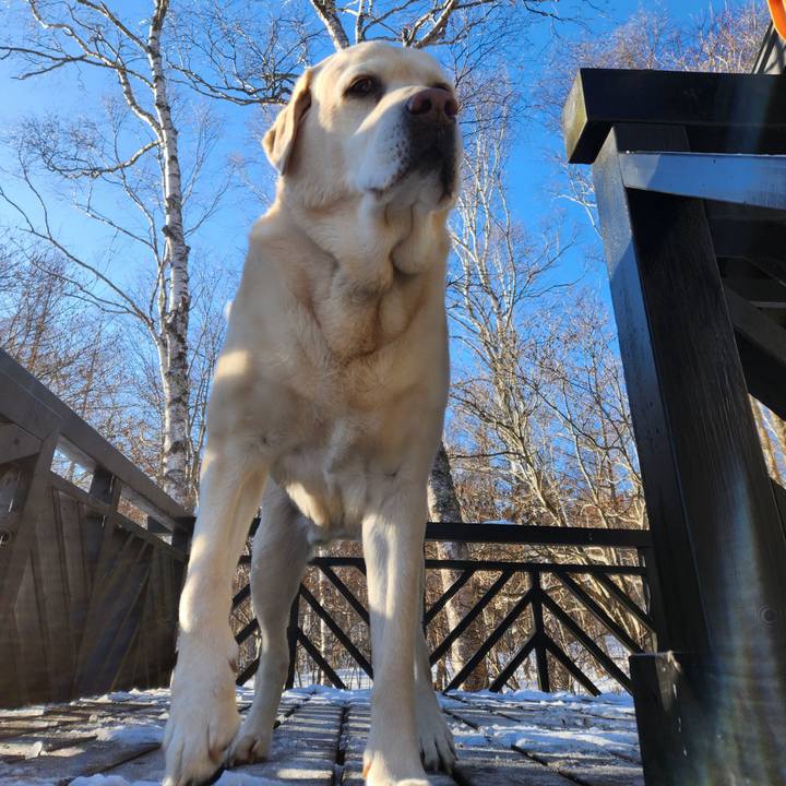 5a85609c 4aaf 4330 930f 8a872e9f8188 1770208585197