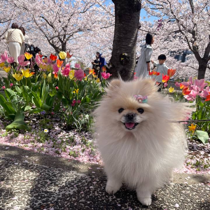 5a85722a a837 4079 9be5 c106e56c22b0 1712728028406