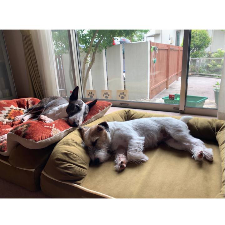 5a8576d1 80f7 4bd0 b4bc 6ae789e8bc96 1600233137042