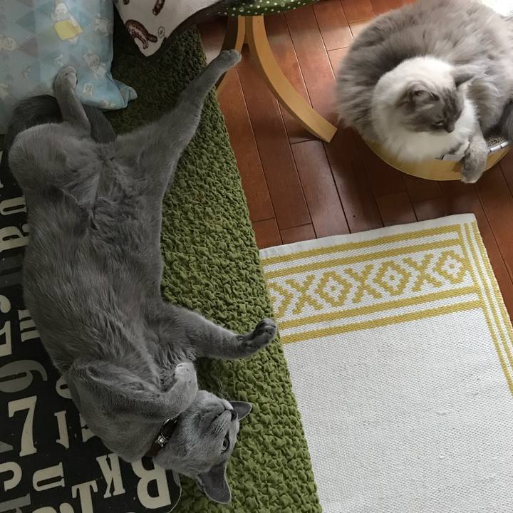 5a85818b 1473 47f5 8708 5616ff27d96b 1536617573745