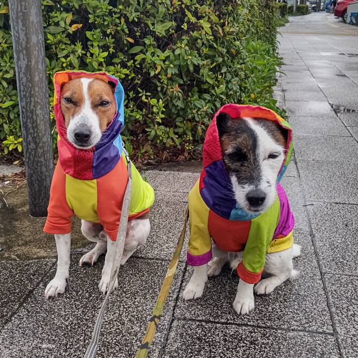 5a859488 4659 4b93 bca4 14812f6754f5 1679959543194