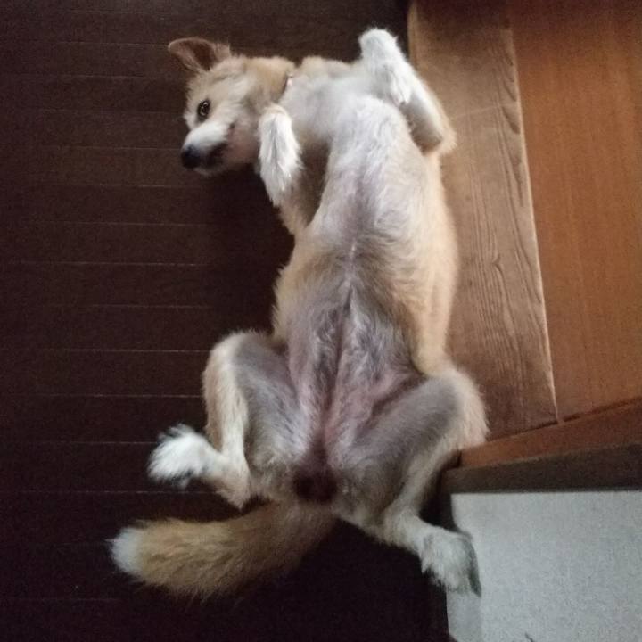 5a85f0ef e059 4896 bd37 8eeb2b7c1a96 1530062661055