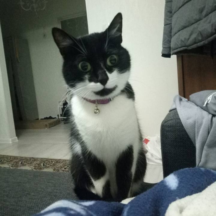 5a85f4bb 1351 419c 8f55 4bfde45ce9d7 1542500381086