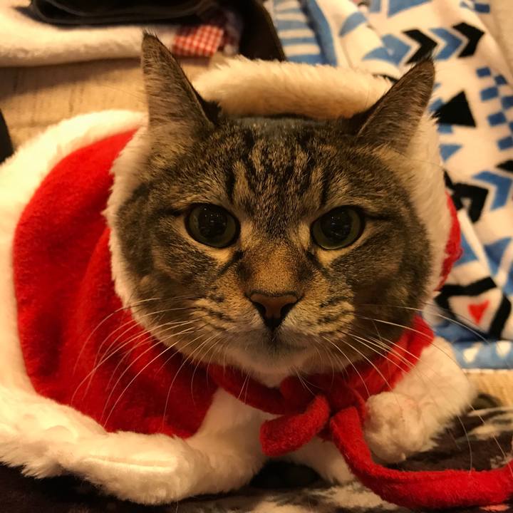 5a86f51f 51e0 4f90 aaae a99f596d8cbf 1545655129546