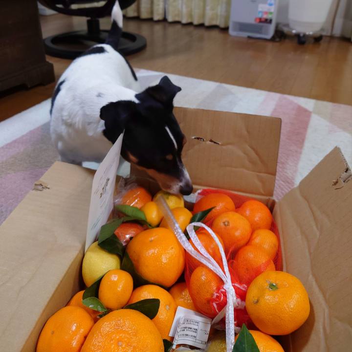 5a87136d 18d6 4e43 a838 7fe86b6757d3 1734518537165