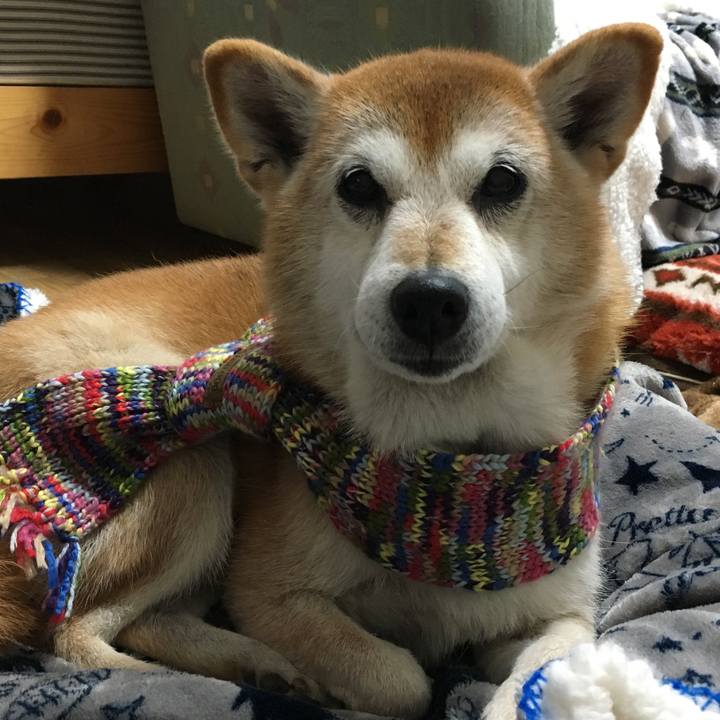 5a873147 c46f 41b7 96b9 47c1bc7d73fc 1513322551400