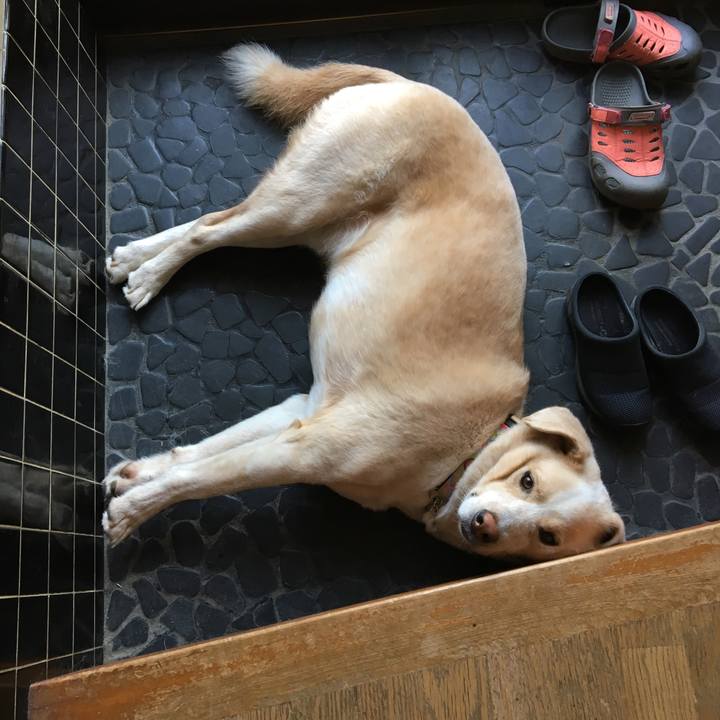 5a8742f5 9d52 4371 af2f f62a8baca6ea 1533188052001