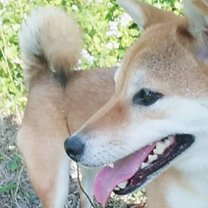 5a8749d9 14f1 44d1 acdf 79f85789f29d 1536387567171