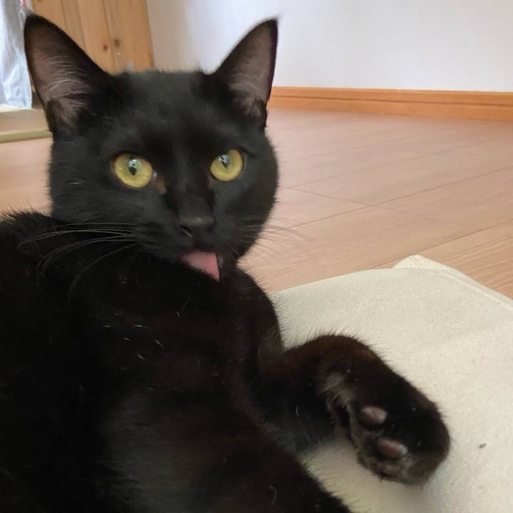 5a874c2f 74d5 4a80 ac45 1bcc72ef1c8d 1624793435430