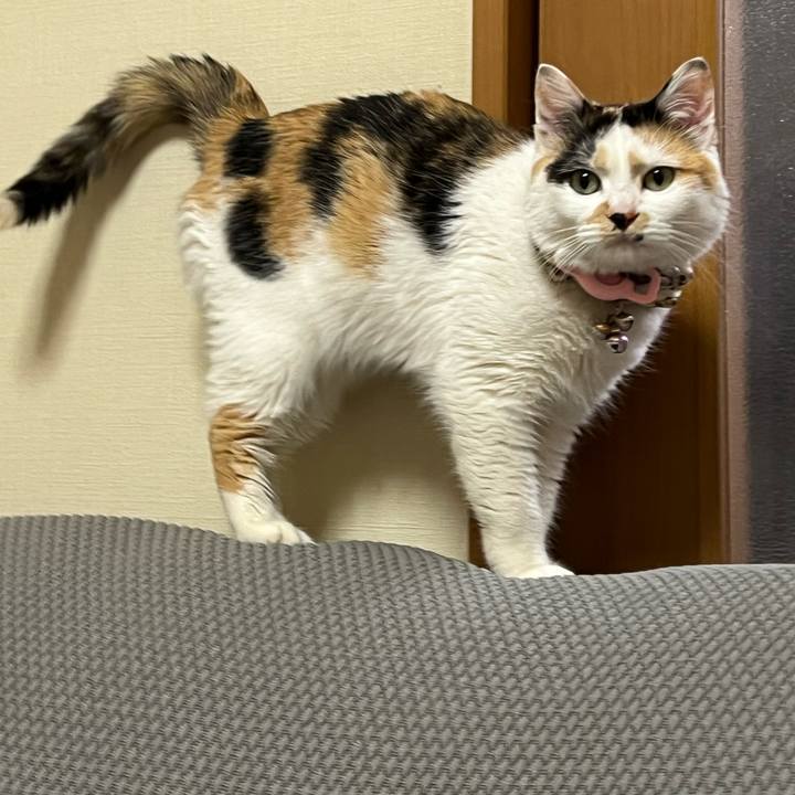 5a8760f2 231f 4227 9325 69d9c35872e7 1779402093133