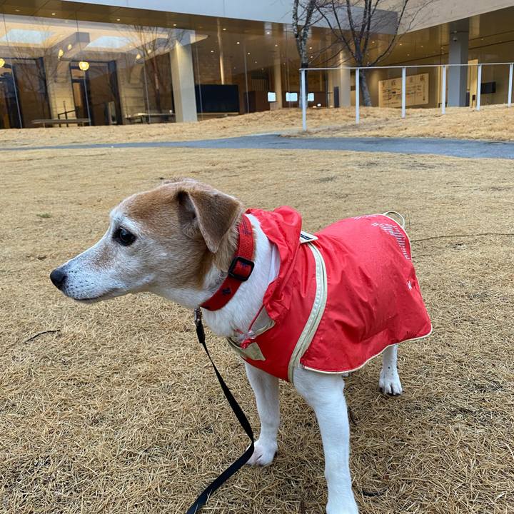 5a876a9e 716d 4b92 9aa8 7145ff5728d2 1611277838841