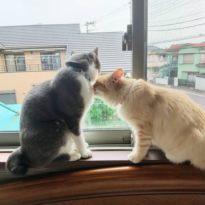 5a878573 5b2b 4ba8 837b d68851a033d0 1621034852443