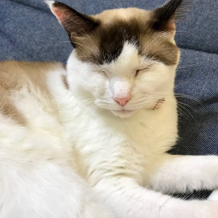 5a87d68c b37d 4498 97e5 8c37add63132 1537014473686