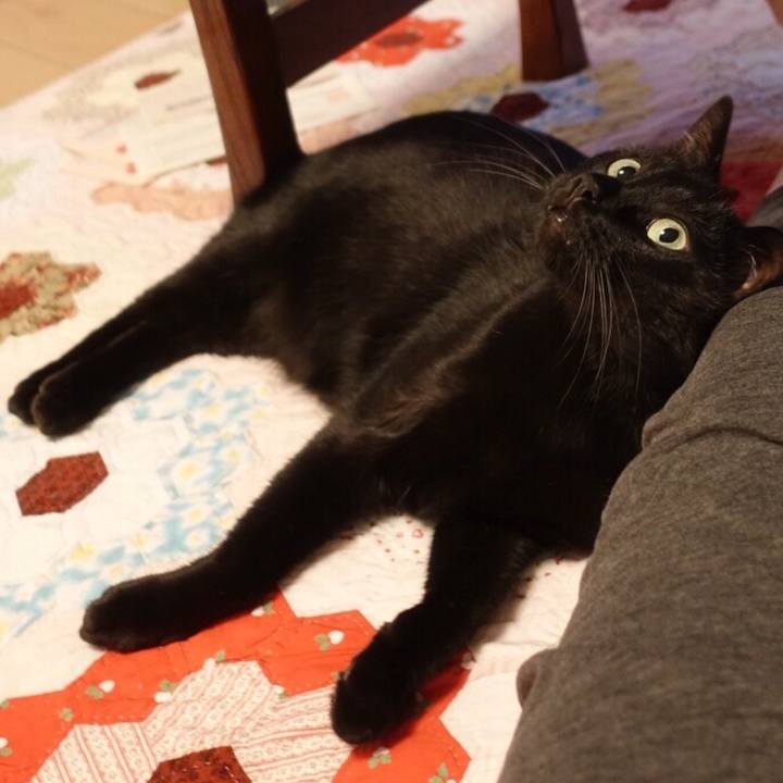 5a87fc75 9985 42da 8ec3 88f8f55fd625 1535114265739