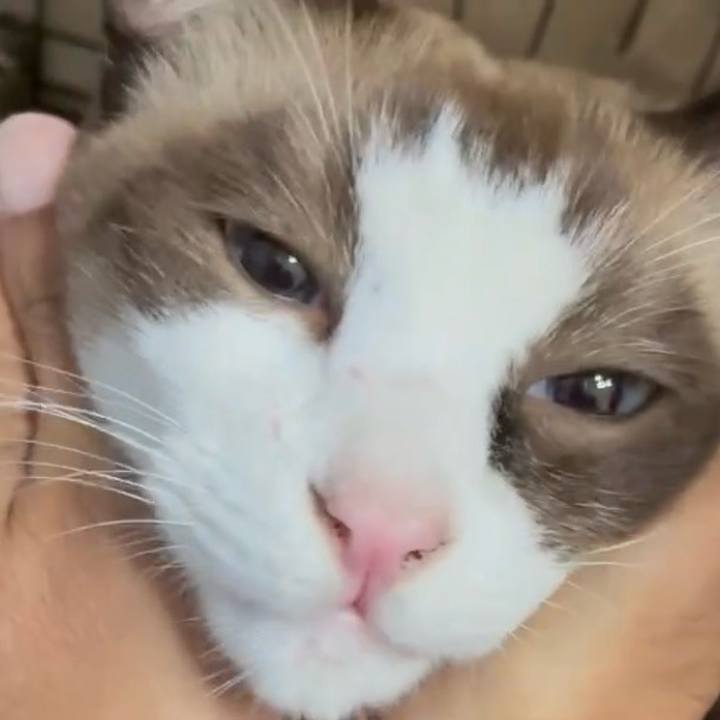 5a880440 1d66 4dc2 bf9a c19349e3ff5f 1761712646576