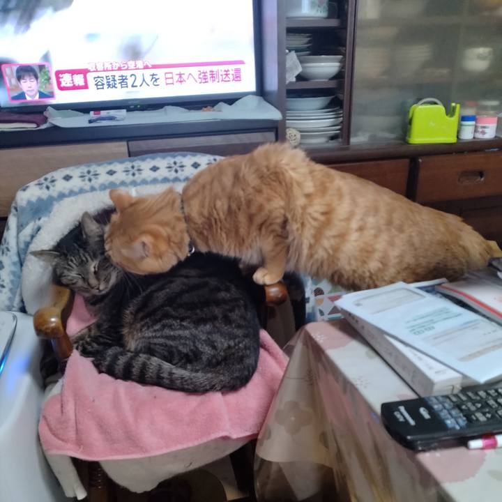 5a88283f b5fb 48ab ad77 1159050f28c7 1675727688844