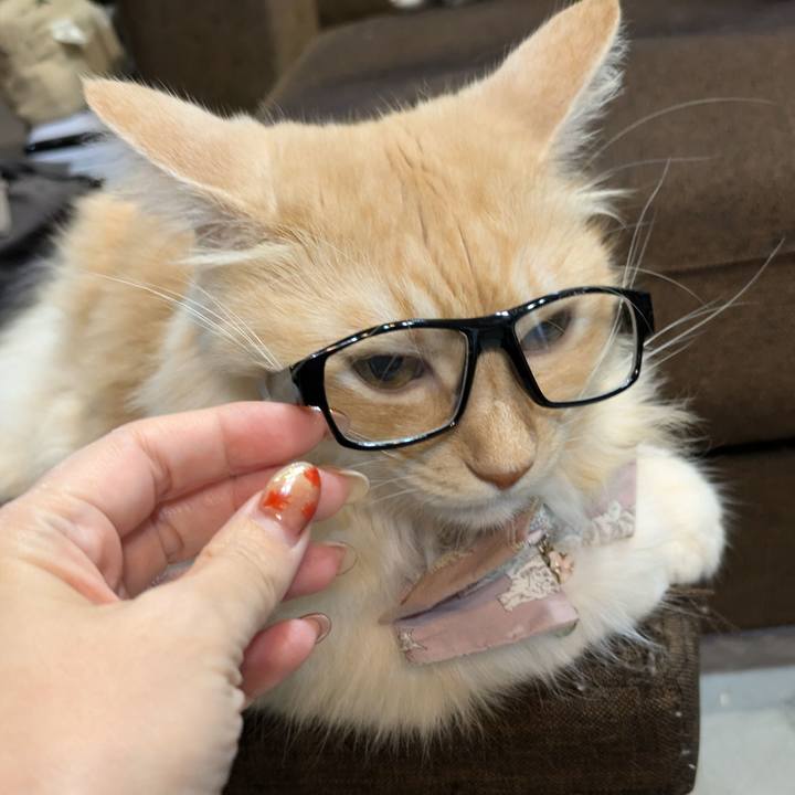 5a882d52 6aac 42f8 8912 f50cf1808f55 1729755492761