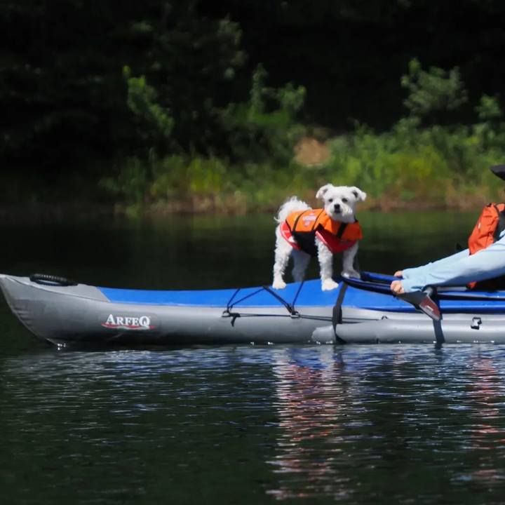 5a883047 33d1 4ef2 8e4e c7e7ec6f9056 1662375704903