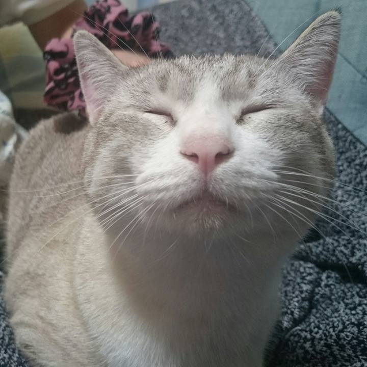 5a883471 7c3e 4078 a705 2b063353616b 1539404480720