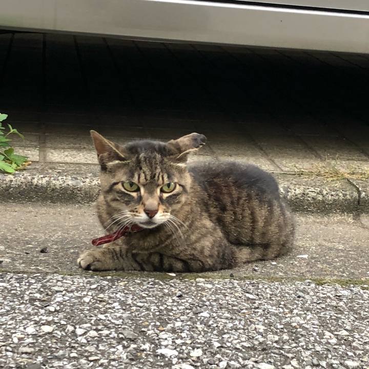 5a883a0e eed7 41ce a347 37f4e5e429ac 1531323473924