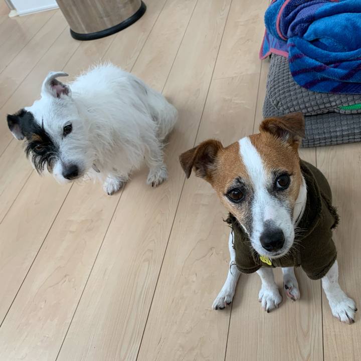 5a883a81 1ca0 4b6a 9881 2d93d29bef78 1574644610334